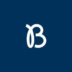 bearaby.com