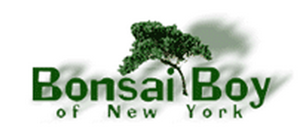 Bonsai-boy-of-new-york_coupons